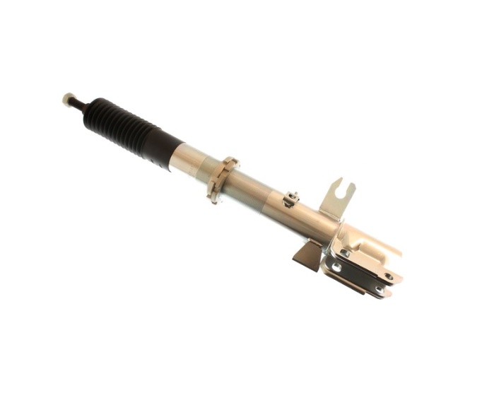 bilstein-motorsports-suspension-strut-assembly-zinc.jpg