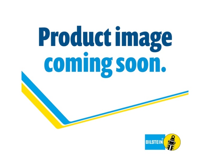 bilstein-universal-motorsports-strut-suspension-strut-assembly.jpg