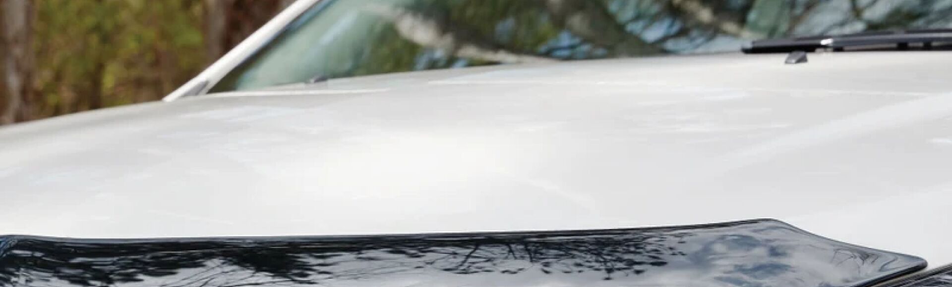 Stone and Bug Deflectors
