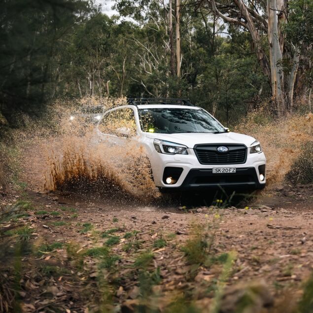 BILForester_SK_B8T_6LS.jpg
