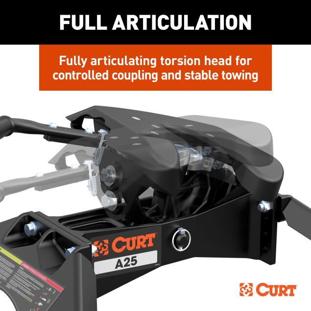 CUR16551_3008x1990_fd.jpg