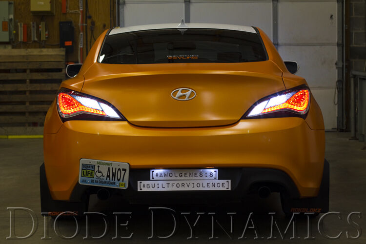 DDYDD3015_P04.jpg