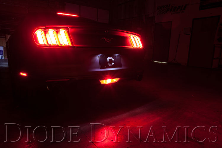 DDYDD3017_P04.jpg