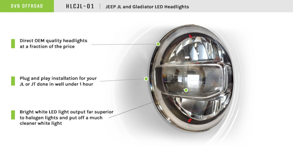 DVEHLCJL-01_Infographic-(1).jpg