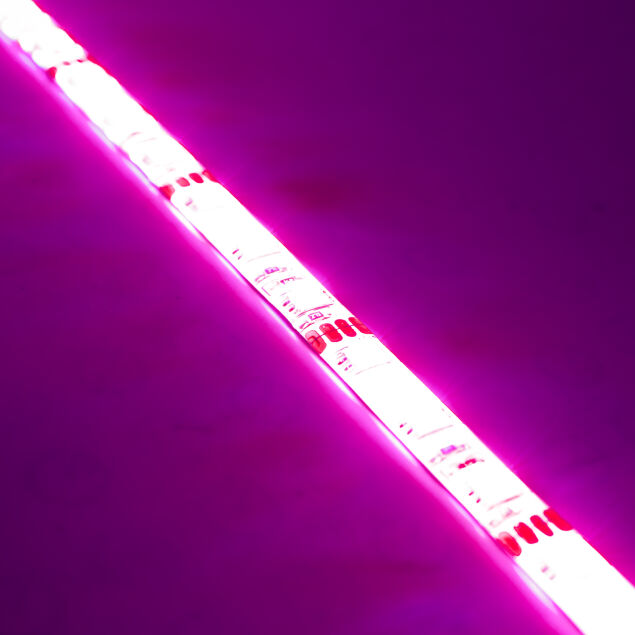 ORL4226-333_L_Product.jpg