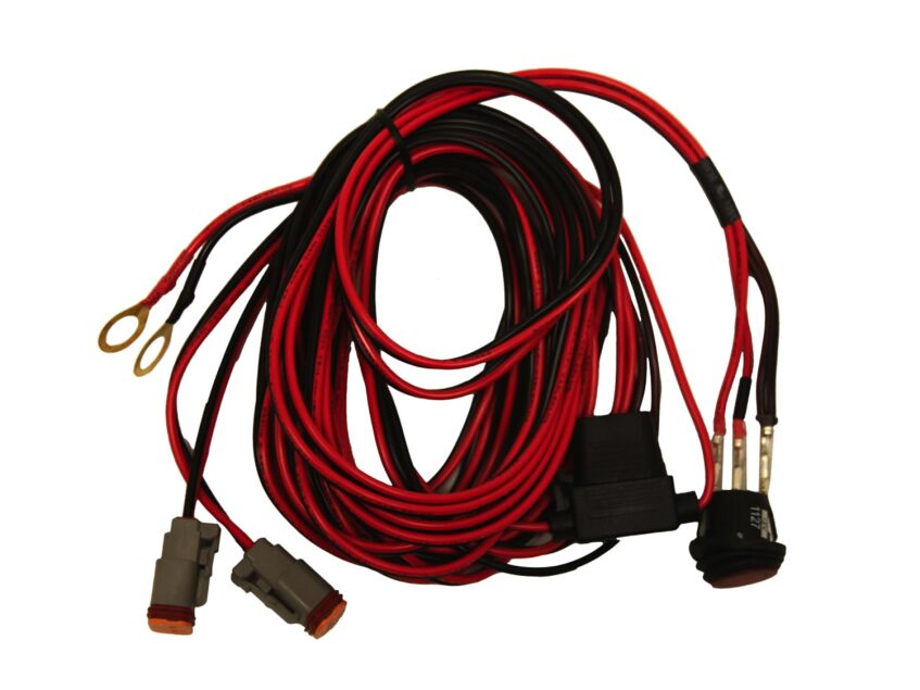 RIG40194.jpg