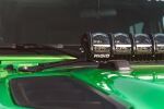 RIG483A3459_41665.jpg