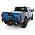 WES58-421275_p03_3.jpg