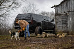leer-homepage-90193-royal-chevy-2018-blck-shed-dogs-d-1-293275937505.jpg